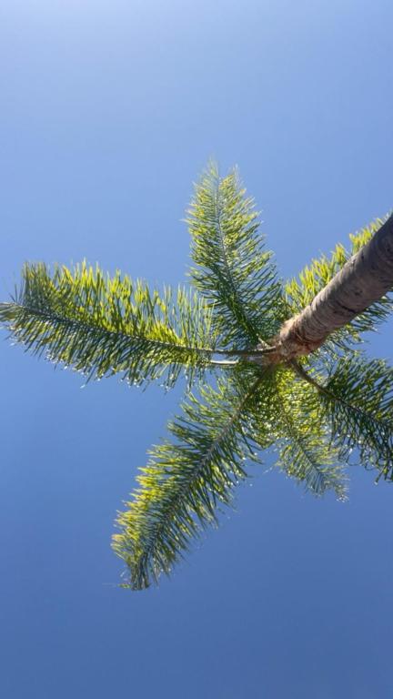 Sea Marbella - Resim 23