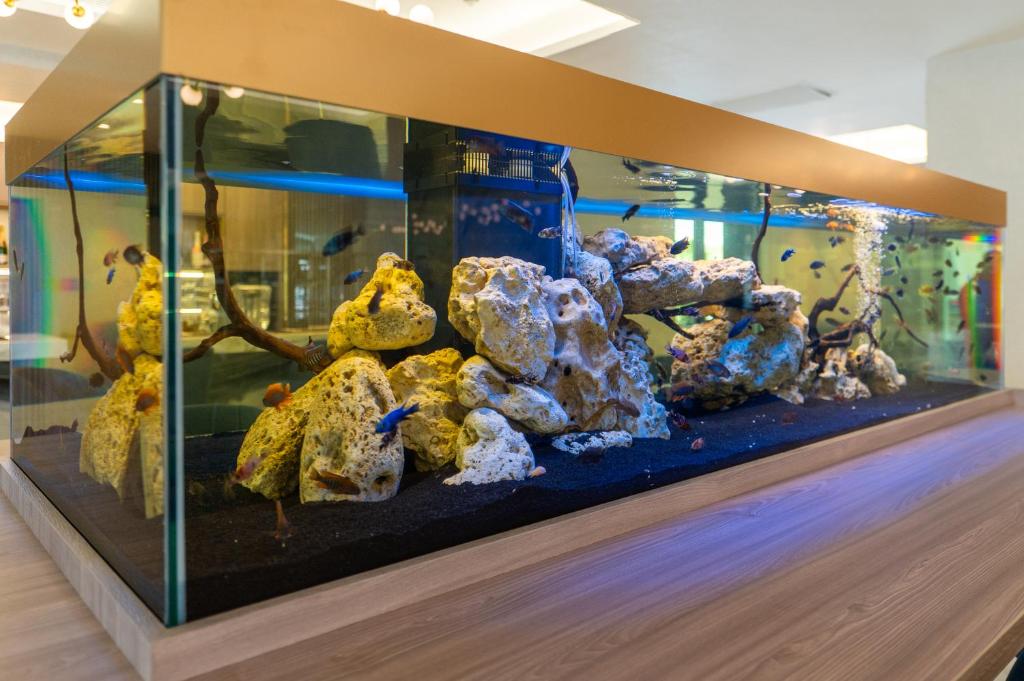 Crowne Plaza Constanta - Mamaia Beach by IHG - Resim 15