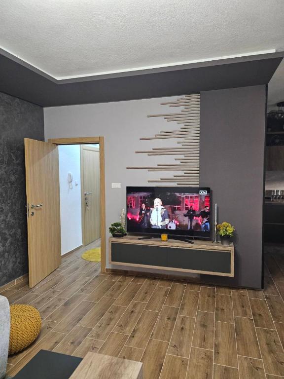 TV a/nebo společenská místnost v ubytování SOUL Apartman