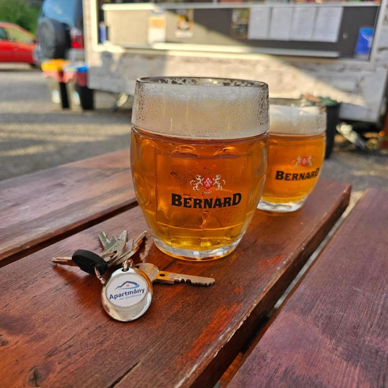 Napoje w obiekcie Apartmány Na sjezdovce