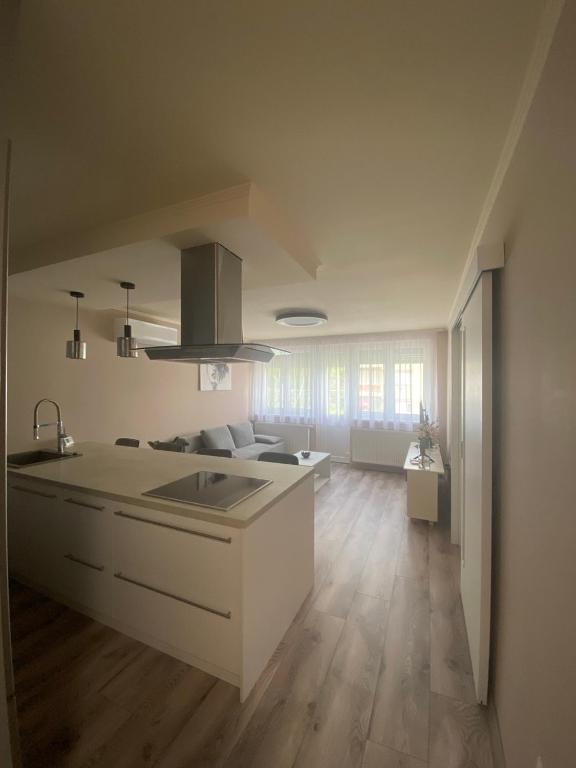 Kuchyň nebo kuchyňský kout v ubytování Hotter Apartman