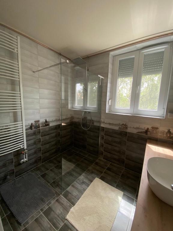 Koupelna v ubytování Hotter Apartman