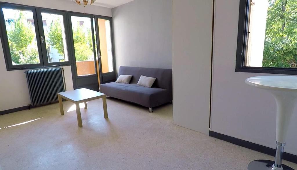 un salon avec un canapé et une table dans l'établissement Studio quartier hôpitaux facultés, à Montpellier