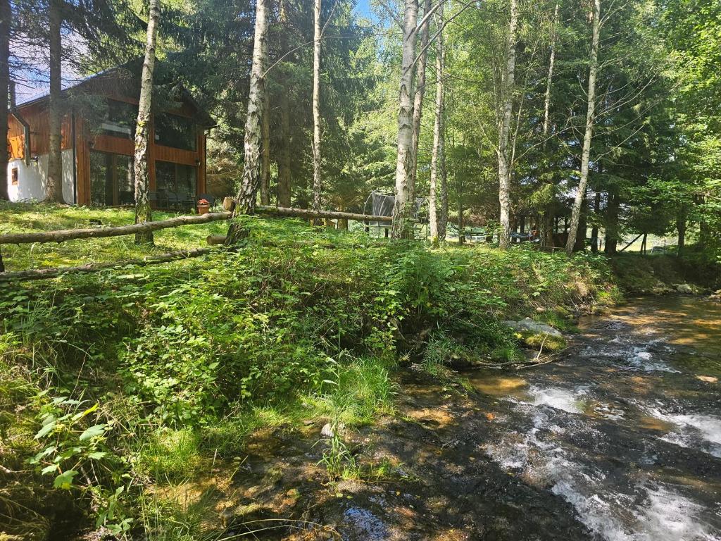 Príroda v okolí horskej chaty