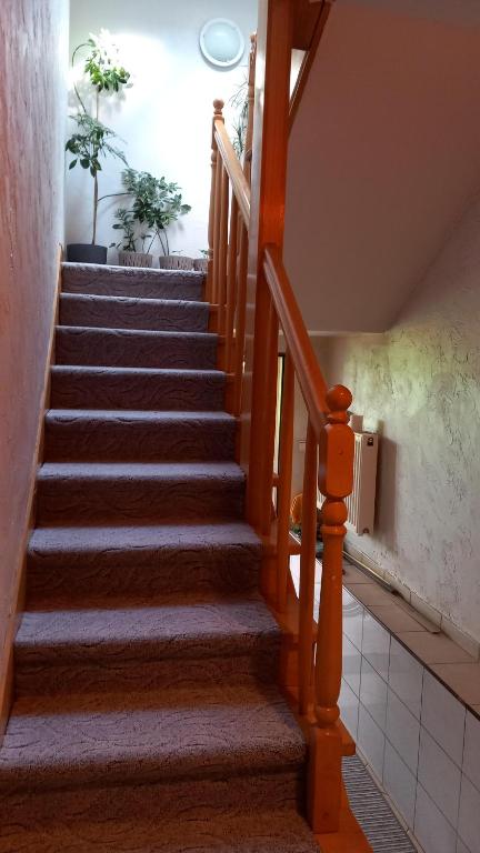 Fotografia z galérie ubytovania Zielone Zacisze v destinácii Zagnańsk
