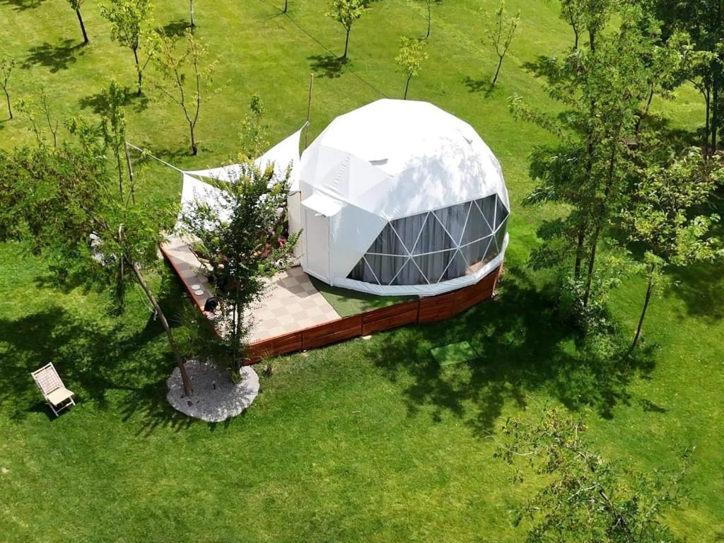 Aed väljaspool majutusasutust Glamping Beograd