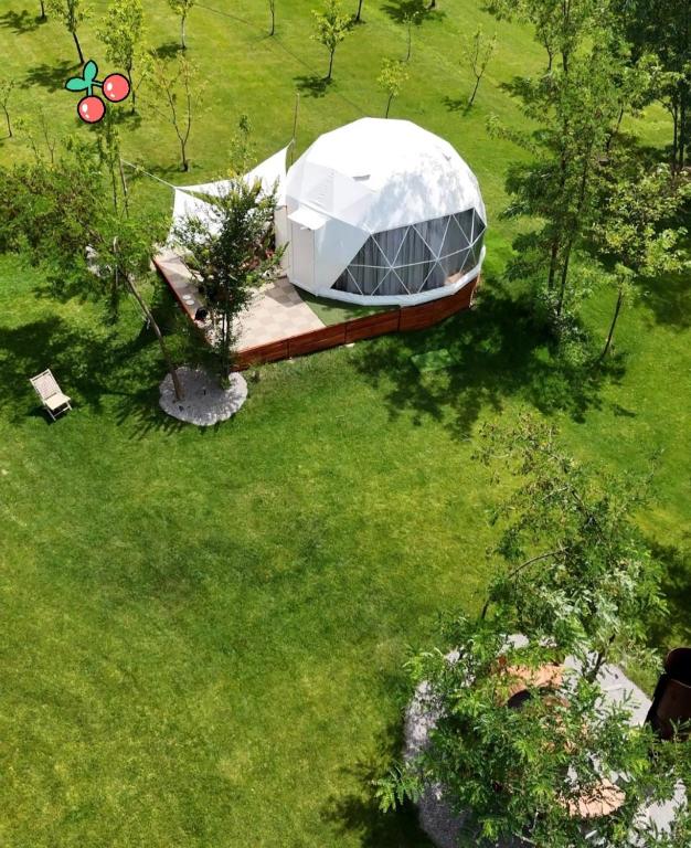 Aed väljaspool majutusasutust Glamping Beograd