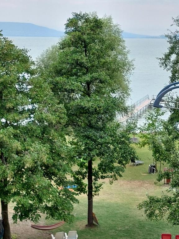 Príroda v okolí apartmánu