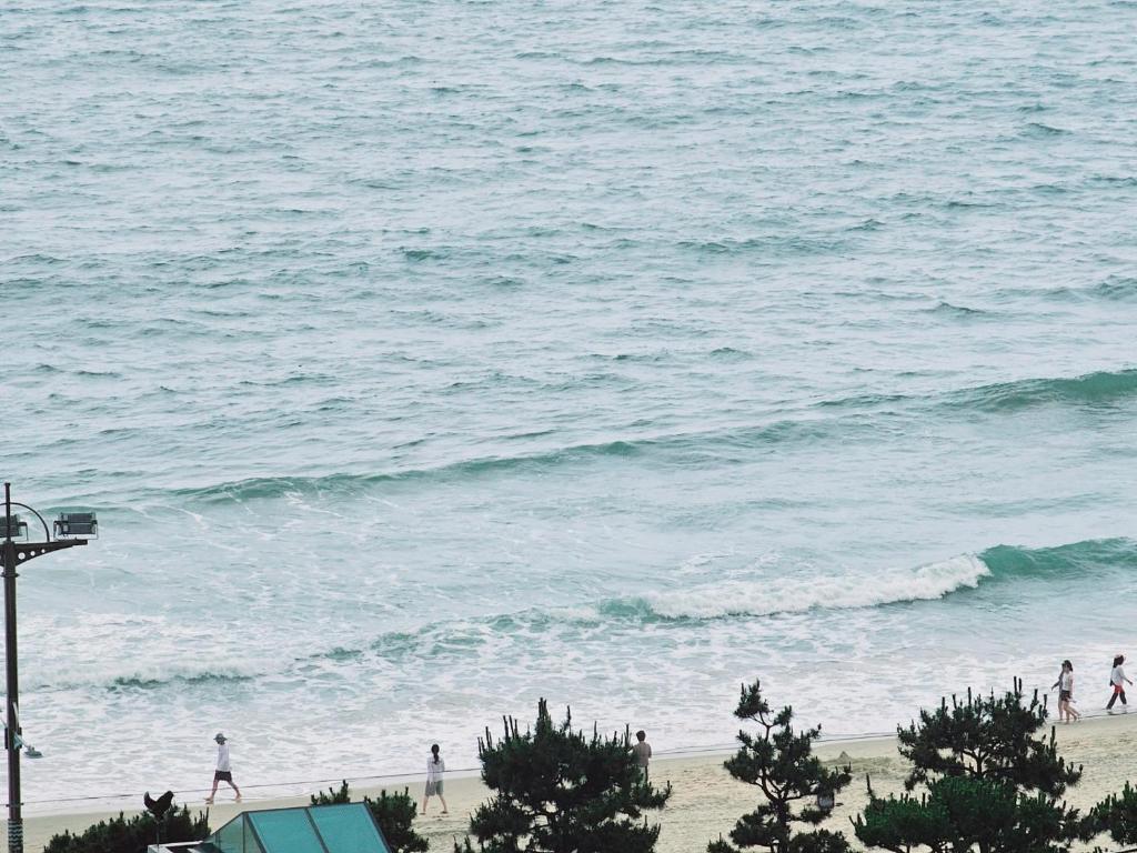 Ciel de Mer - Estúdio