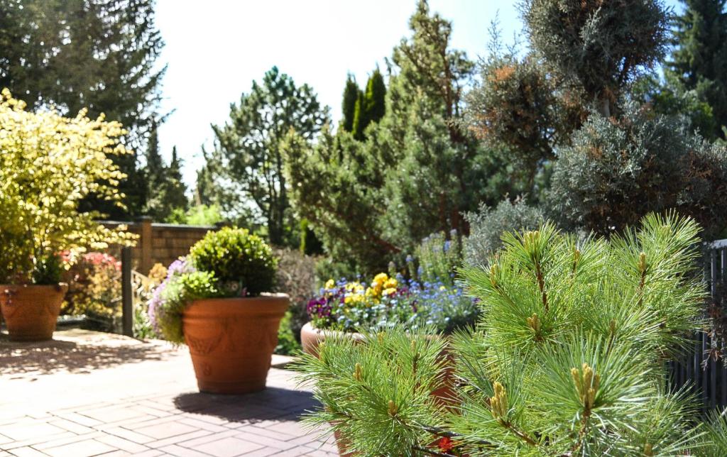 Kurhotel Eichinger - 17