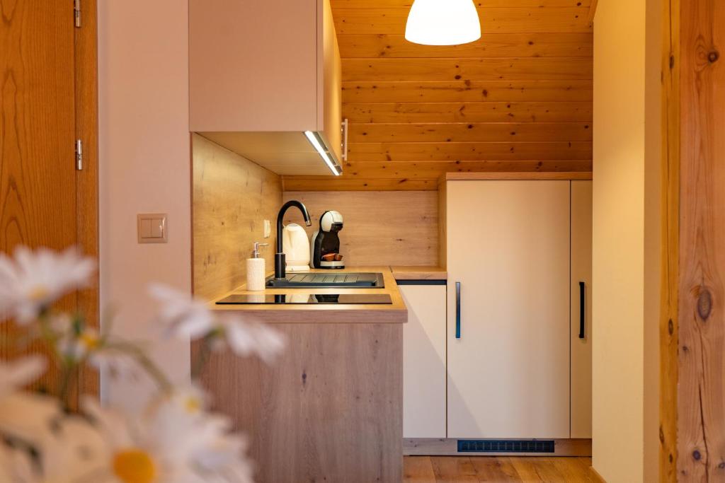 Kuchyň nebo kuchyňský kout v ubytování Apartmány Bobrík
