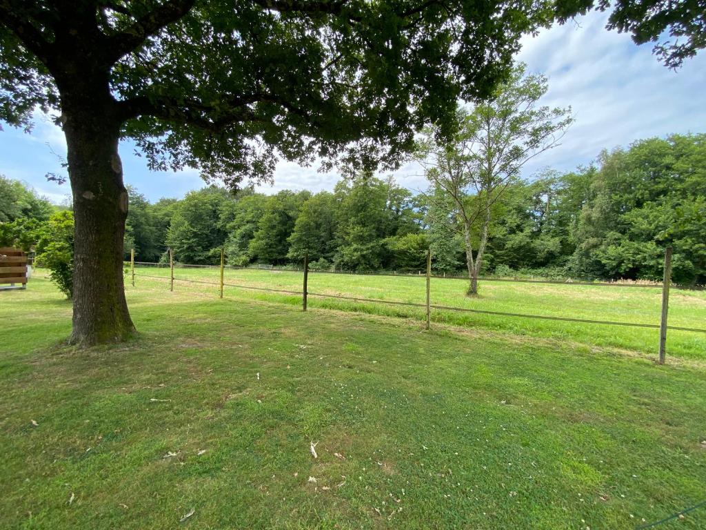 un parc avec un arbre et une clôture dans l'établissement Studio au cœur de la nature, à Saint-Paul-en-Born