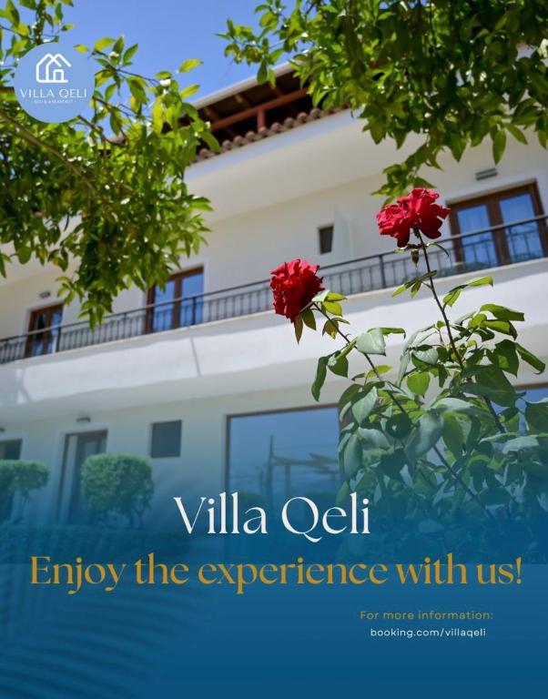 Fotografie z fotogalerie ubytování Villa Qeli v destinaci Gjirokastër