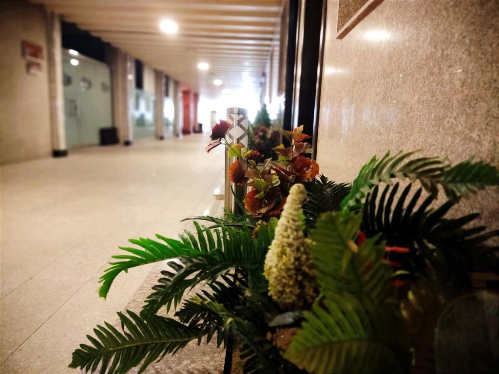 Fotografie z fotogalerie ubytování سيلين الزهراء v destinaci Džidda