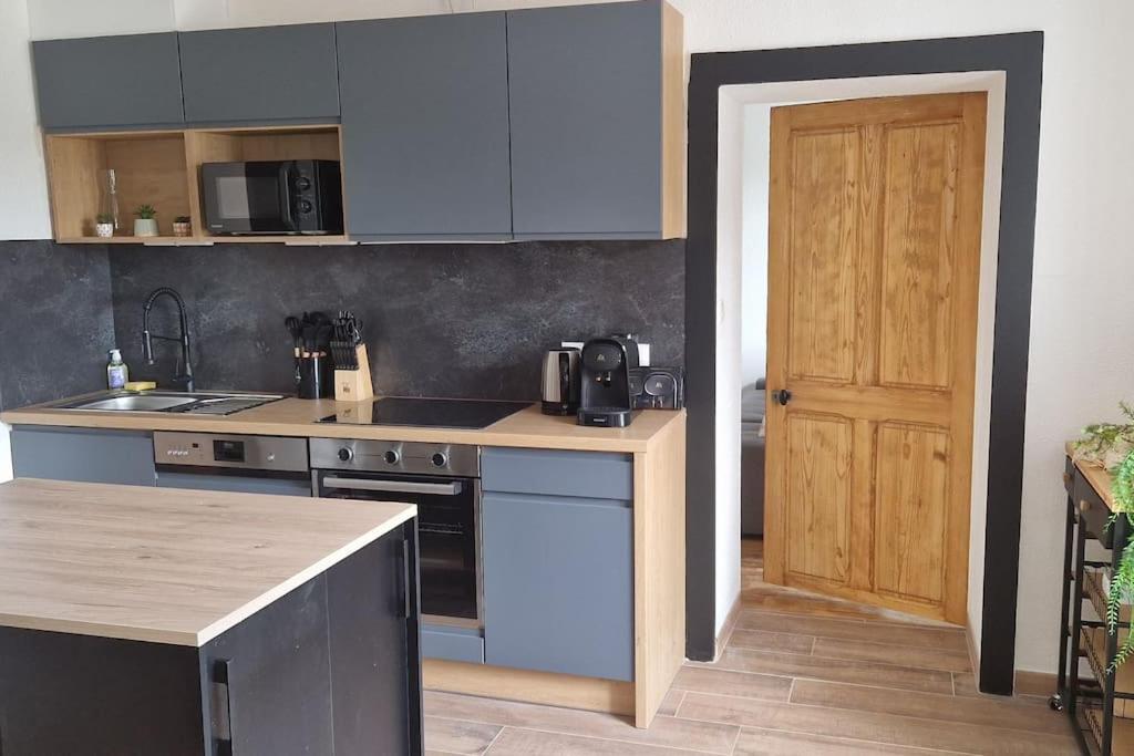 cocina con armarios azules y puerta de madera en Le Petit Colin RDC, en Pontarlier