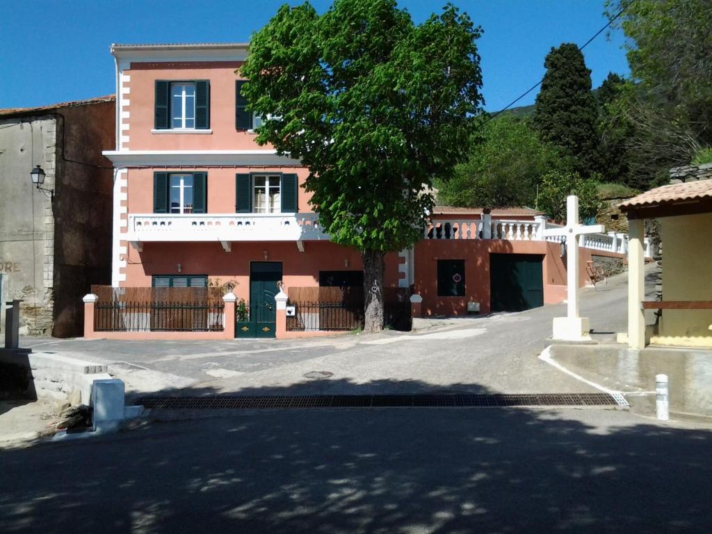 a building with a tree in front of a street at Le Clos Osteria in Barbaggio