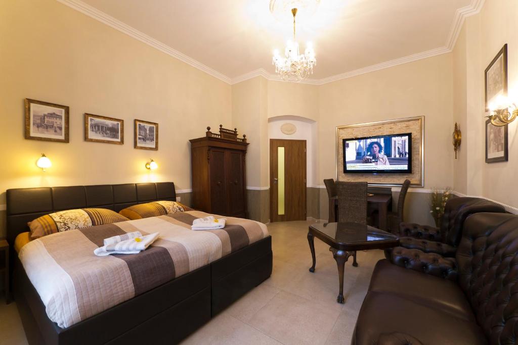 Apartment Karla Capka Street - 19