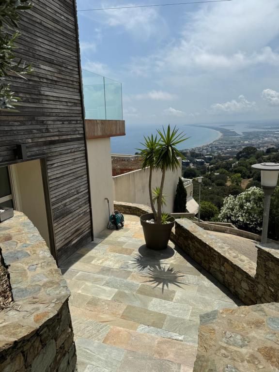 a patio with a potted plant on the side of a house at Casa La Vista in Bastia