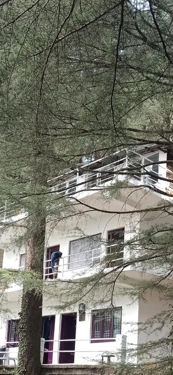 a white building with a tree in front of it at Himalayan Triund Hill View Hostel in Dharamshala
