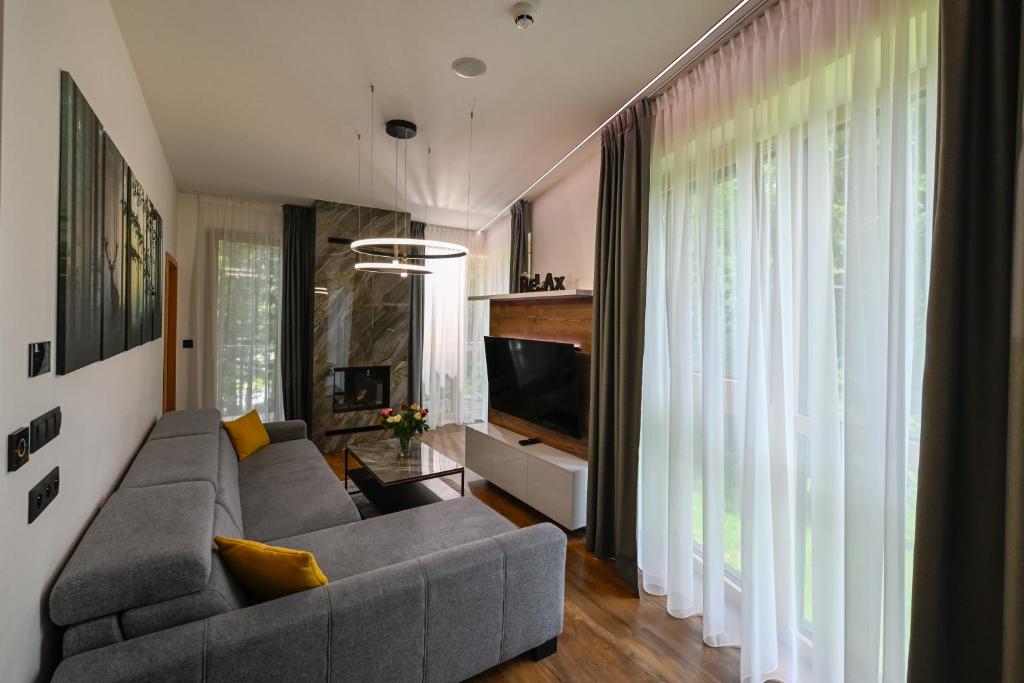 TV a/nebo společenská místnost v ubytování Hotel Ovruč - rodinný apartmán 111