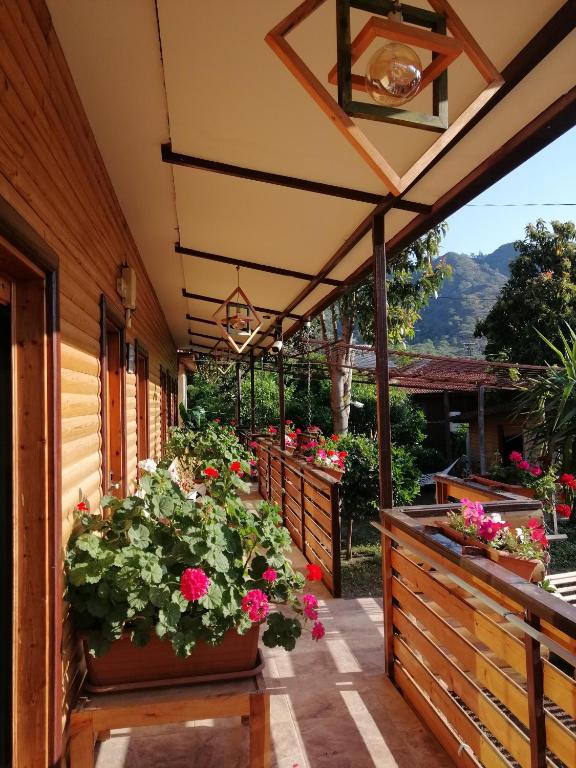 Nespecifikovaný výhled na hory nebo výhled na hory při pohledu z hotelu