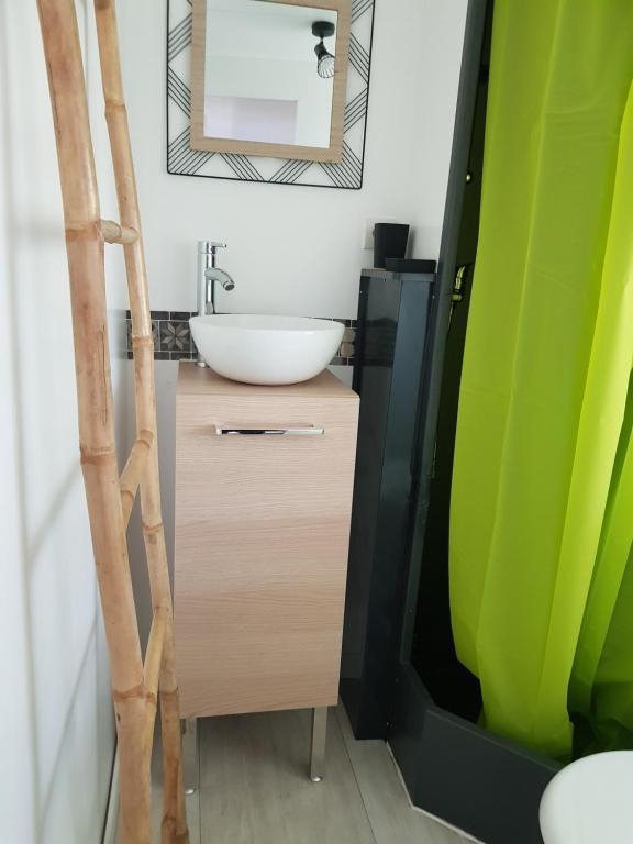 une salle de bain avec un lavabo et un miroir dans l'établissement Gard mobilhome, à Saint-Ambroix