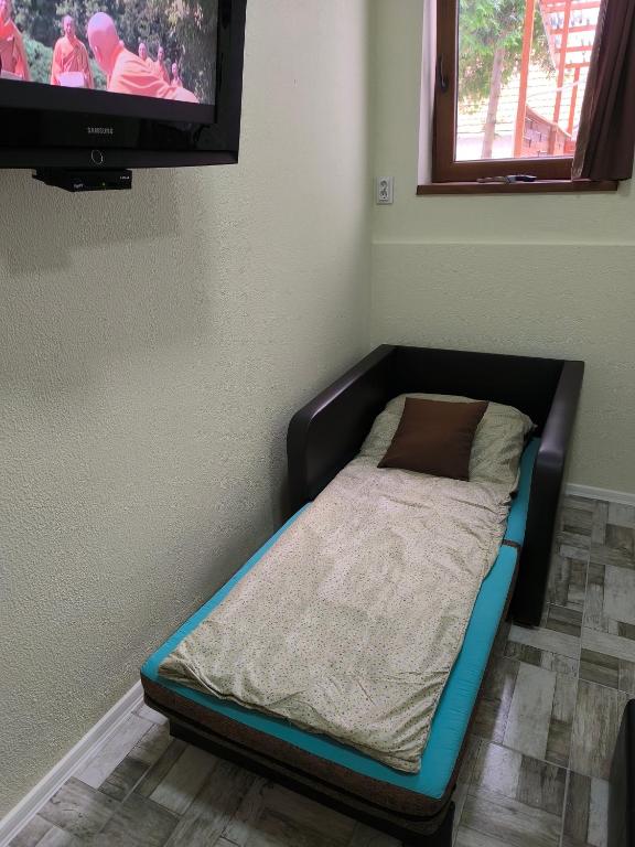 Televízia a/alebo spoločenská miestnosť v ubytovaní Magnolia apartman