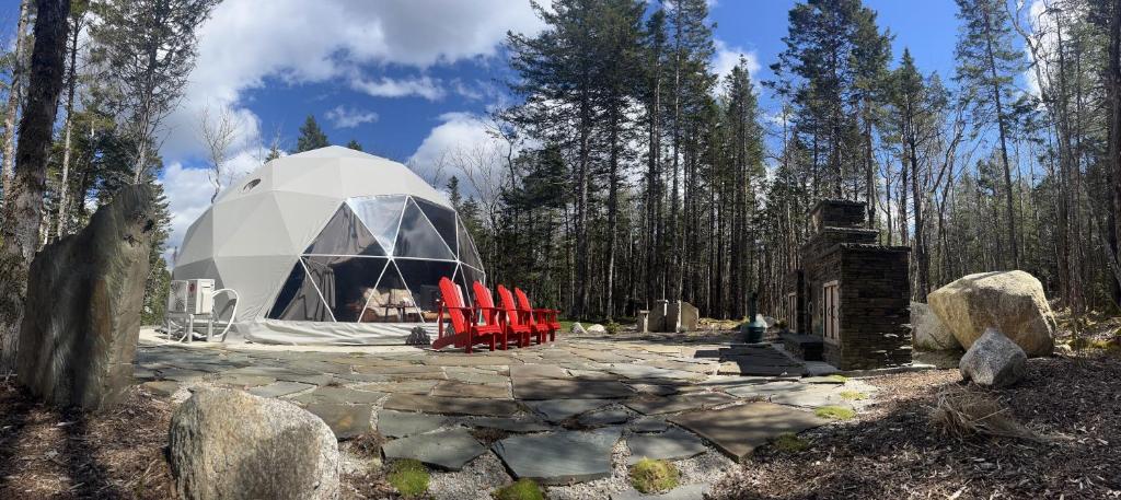 Příroda nedaleko luxury tent