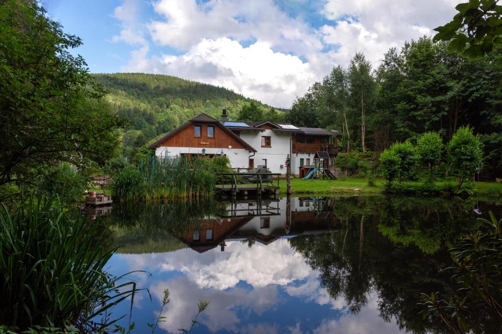 Příroda nedaleko apartmánu