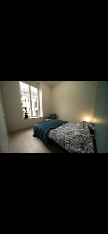 une chambre avec un lit et une fenêtre dans l'établissement Appartement de l ancienne poste, à Chalon-sur-Saône