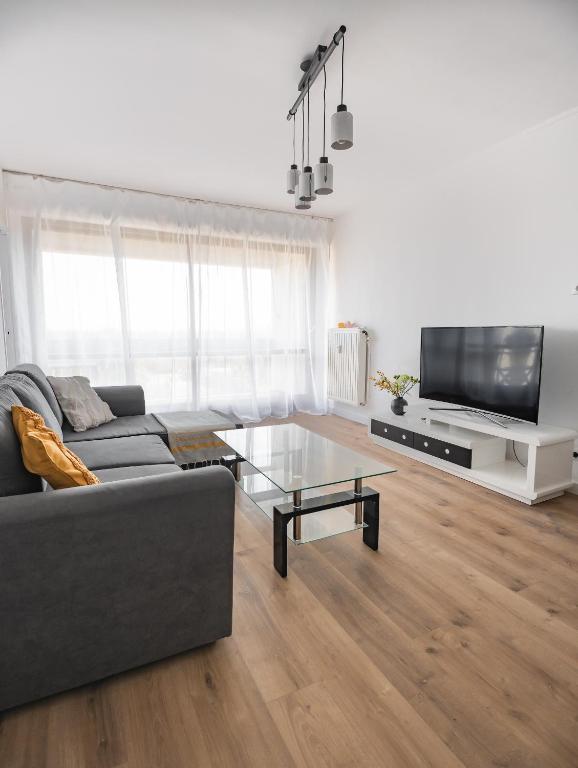 un salon avec un canapé gris et une télévision dans l'établissement Appartement 3 chambres, à Fréjus