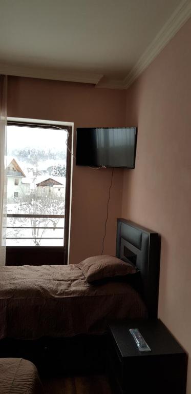 TV a/nebo společenská místnost v ubytování Cozy Hotel in Bakuriani