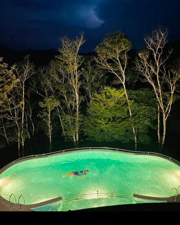 Bassein majutusasutuses Serene Crest Resort või selle lähedal