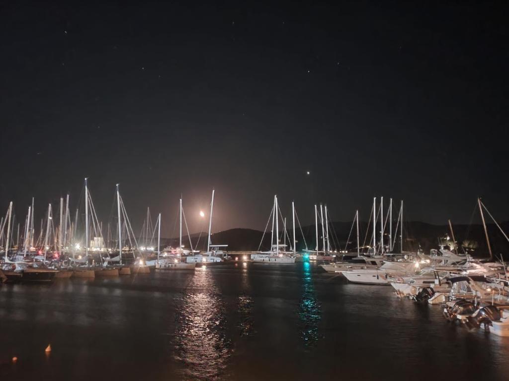 アパートメントの近くで見られる自然の景観