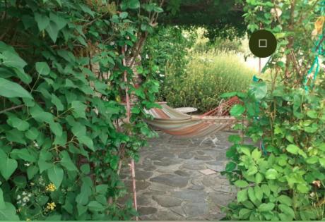 Vườn quanh La casa de Don Claudio