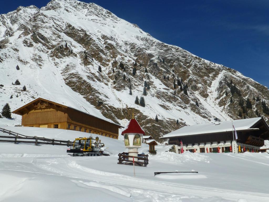 Hotel Almhof v zime