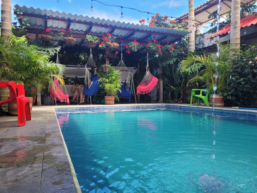 Bassein majutusasutuses Hostal Hilltop Salento või selle lähedal