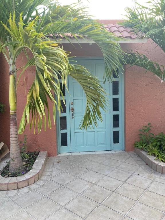 a blue door of a house with a palm tree at Budgie's 2 Studio in Cozumel