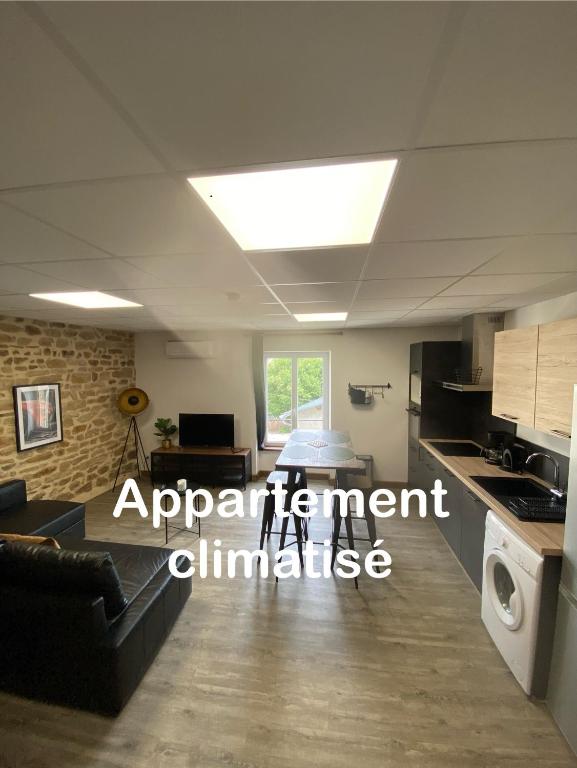Cet appartement comprend une cuisine ouverte et un salon. dans l'établissement Les Pichies, T2 Gloria, centre ville, à Digoin