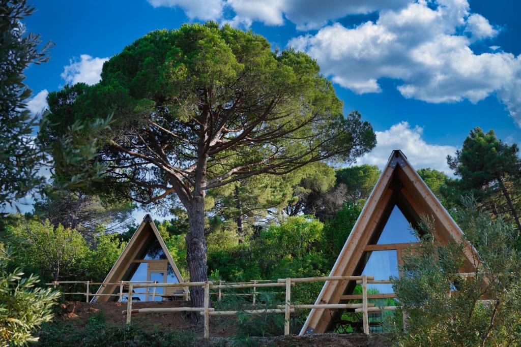 Příroda nedaleko luxury tent