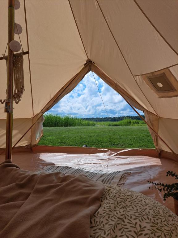 Příroda nedaleko luxury tent