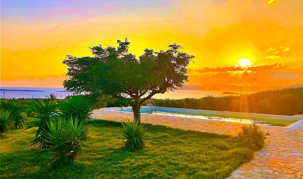 a tree in a yard with a sunset in the background at Paros Afrodite Luxury Villas in Aliki