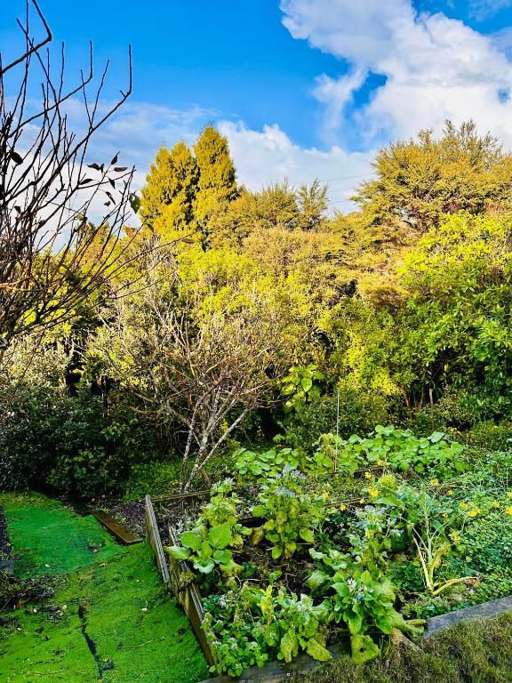 Natures own guesthouse - Resim 8