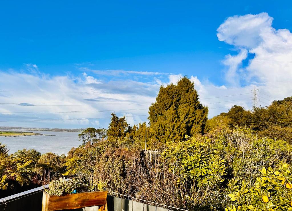 Natures own guesthouse - Resim 10