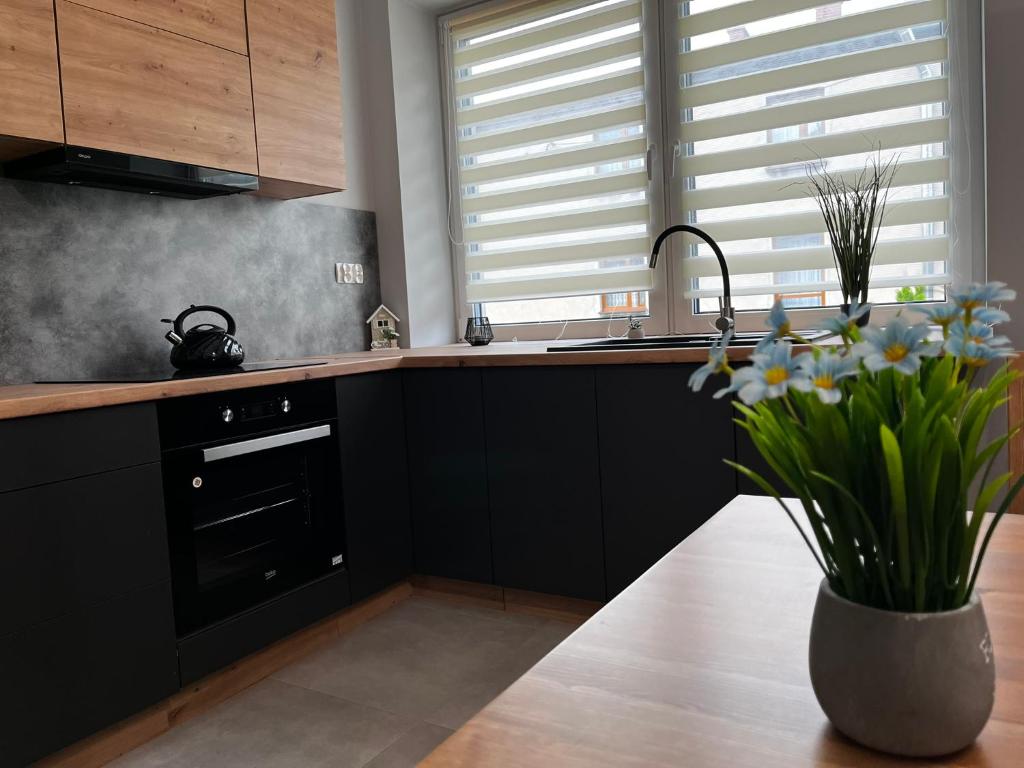 Kuchyň nebo kuchyňský kout v ubytování Beskid Rest Apartments
