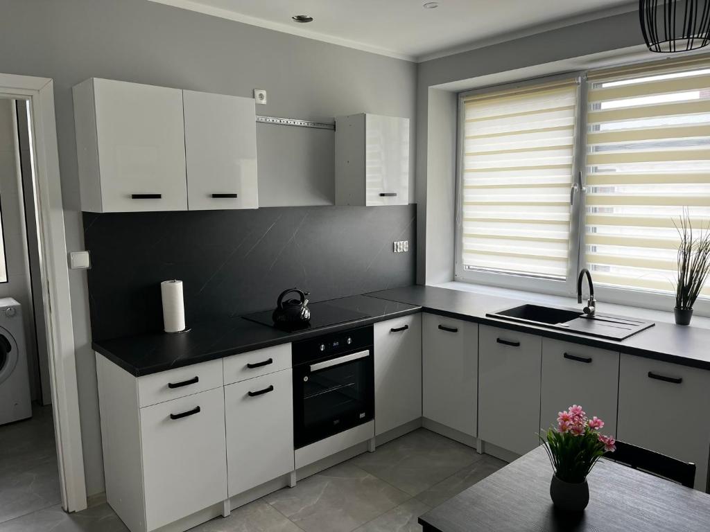 Kuchyň nebo kuchyňský kout v ubytování Beskid Rest Apartments