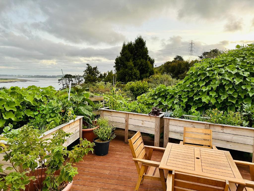 Natures own guesthouse - Resim 1