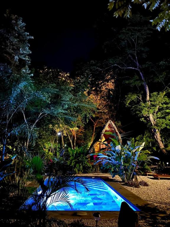 Zahrada ubytování Cabinas de Lou Eco Lodge TAMARINDO
