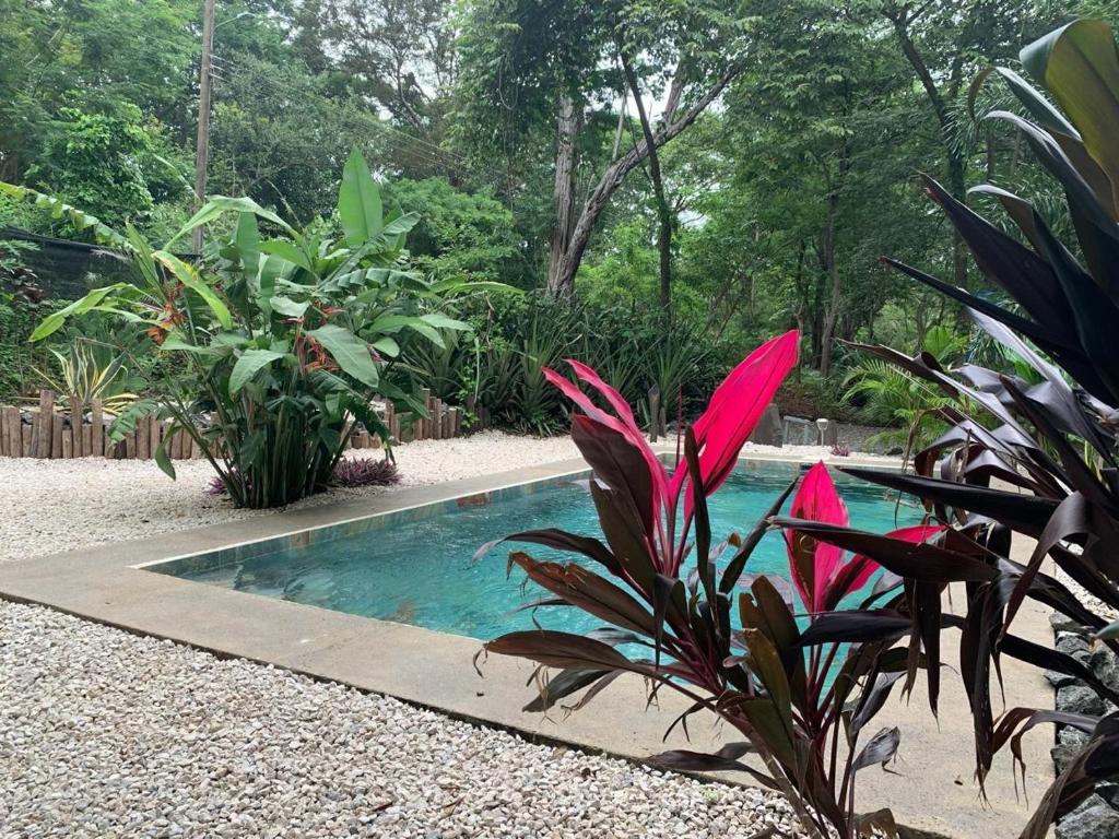 Bazén v ubytování Cabinas de Lou Eco Lodge TAMARINDO nebo v jeho okolí