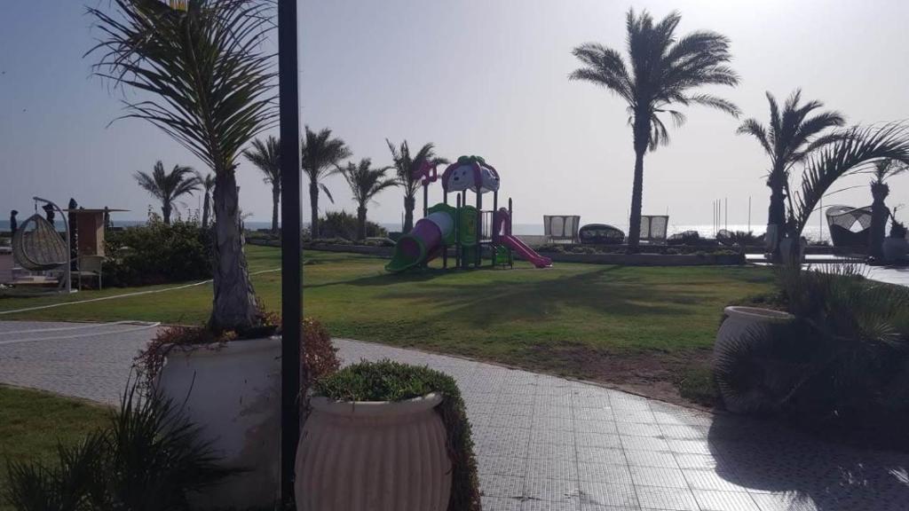 Zahrada ubytování G5 lazordy bay